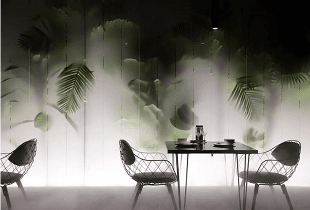 Interior with plants